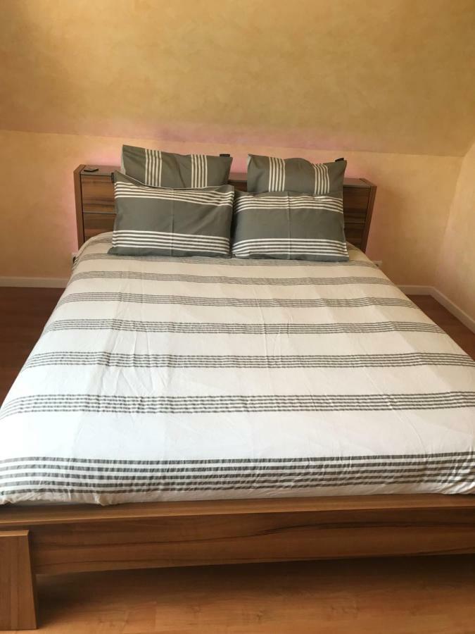 شقة Chez Dina Lutzelhouse المظهر الخارجي الصورة